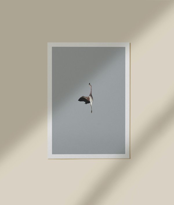Affiche animaux : sublimez votre intérieur avec style !