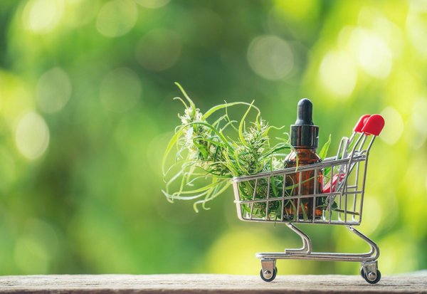 Intégrer le cbd dans votre routine bien-être quotidienne